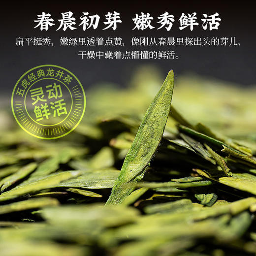 茶叶 龙井 绿茶 春茶 明前龙井 陶瓷罐 茶饮 五虎 100g 商品图2