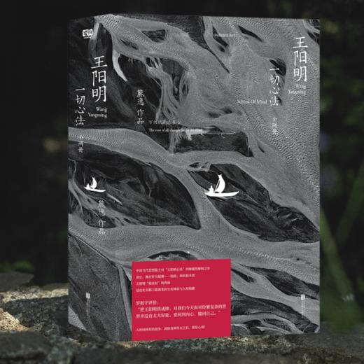 2026年新版《王阳明：一切心法（全两册）》送价值49元阳明心学定制帆布包1个 商品图1