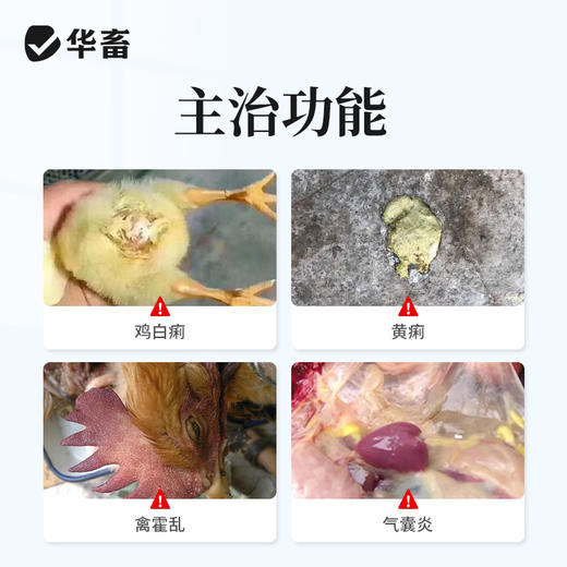 华畜兽用硫酸新霉素可溶性粉 黄痢白痢 吸收更好 作用更快 商品图1