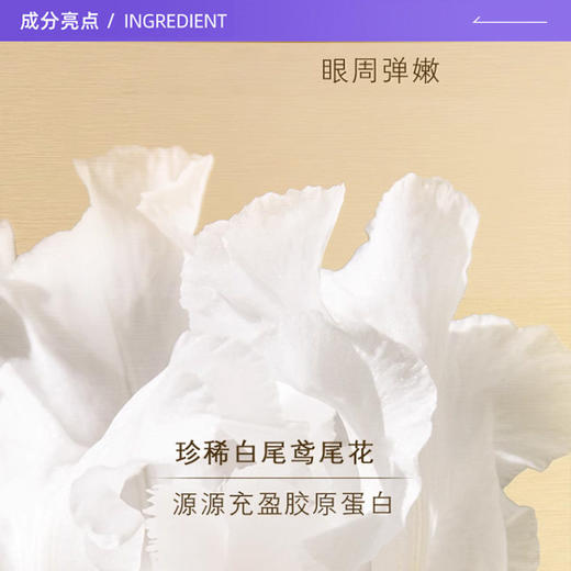 CPB/肌肤之钥紧致御纹精华眼霜2ml【效期2028年后】 商品图2