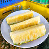 尝鲜特惠『海南树上熟冬蜜凤梨』浓甜细嫩，肉厚饱满，青皮可食，不泡盐水不挖眼 商品缩略图5