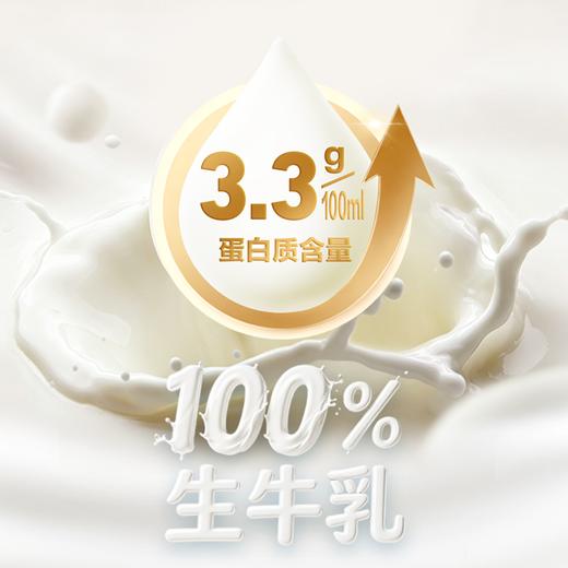 【自提-常温】三元纯牛奶3.3g 250ml*24盒 商品图4