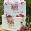 小郑农场 妃子笑 荔枝 商品缩略图2