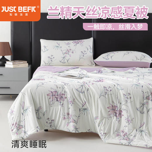 【品牌直发】加倍生活 A类兰精天丝印花凉感丝夏被 5色可选 夏凉被空调被系列 商品图0