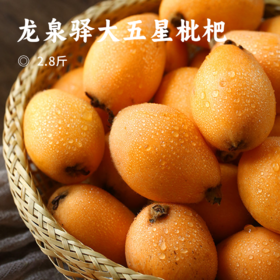 龙泉驿大五星枇杷 | 龙泉驿核心产区原产 地标产地 30年老树 果味浓郁 多汁化渣 易撕皮  现摘先发