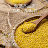 【新品】任小米有机纯小米面条200g/袋 无麸质无小麦无蛋奶有机认证 商品缩略图2
