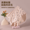 感恩母亲节活动【草本初色·女士柔棉纯棉裆内裤，】适合中老年妈妈的纯棉内裤 高腰深档可以遮住肚脐，亲肤舒适面料含棉量高加上弹力氨纶 商品缩略图3