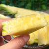 尝鲜特惠『海南树上熟冬蜜凤梨』浓甜细嫩，肉厚饱满，青皮可食，不泡盐水不挖眼 商品缩略图1