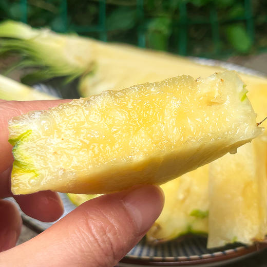 尝鲜特惠『海南树上熟冬蜜凤梨』浓甜细嫩，肉厚饱满，青皮可食，不泡盐水不挖眼 商品图1