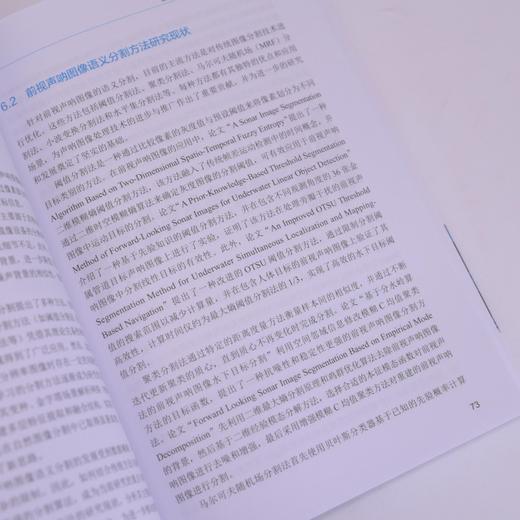 智能水下声呐图像处理技术及应用 人工智能AI算法大模型声呐图像海洋技术 商品图4