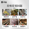 华畜健胃肽兽用牛羊真活菌增强瘤胃发酵提高采食量促生长补营养 商品缩略图1