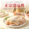【十点】广东清远鸡 山地散养 杂粮喂养 权威检测 人工宰杀 鸡味十足 商品缩略图0
