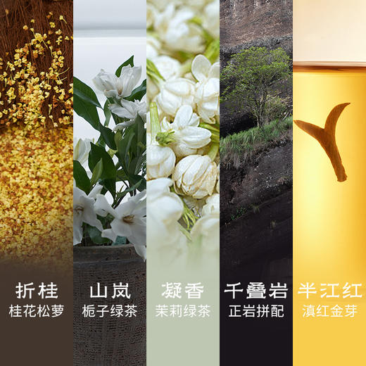 冷萃花香茶集 | 自在茶系列 | 2.5g*15包/盒 | 多口味组合 商品图1