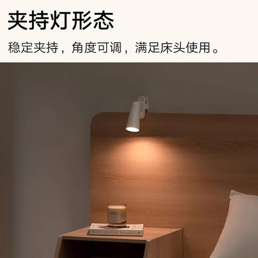 6941812725252 小米MI 小米 米家多功能充电台灯 护眼学习 宿舍大学生寝室床头磁吸灯 商品图3