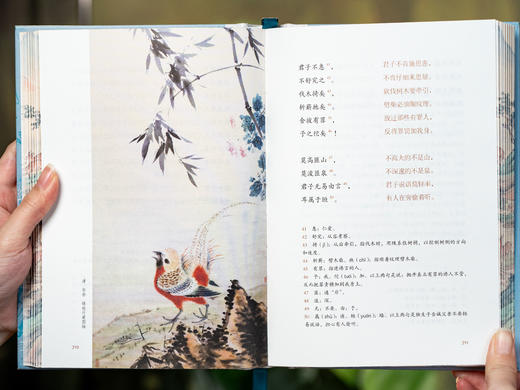 《诗经》3册典藏版|全本全注全译全彩全赏析，权威版本、400+珍贵插图、丰富赠礼，一眼阅尽3000年文学源头，陶冶情操，净化心灵 商品图6