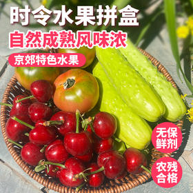 【送礼必备】时令水果礼盒 应季新鲜自然熟樱桃铁皮柿子精品水果礼盒   节日礼盒 可支持企业定制