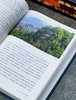 【新书】《月涌大江流：万里长江诗意图》，16开精装，王兆鹏、李定广著，江西人民出版社2026年一版一印，560页，定价168，售价：108元。 商品缩略图12