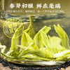 茶叶 龙井 绿茶 春茶 明前龙井 陶瓷罐 茶饮 五虎 100g 商品缩略图3