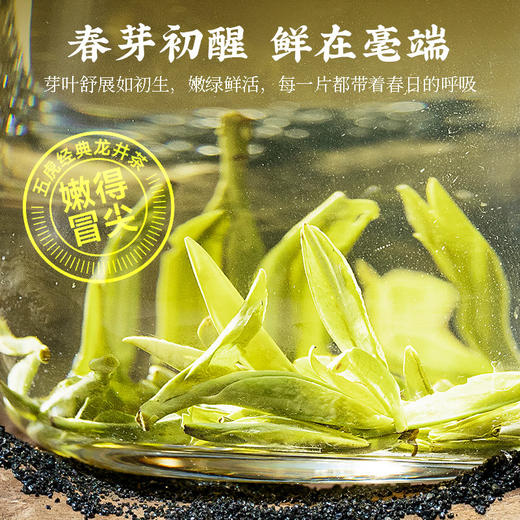 茶叶 龙井 绿茶 春茶 明前龙井 陶瓷罐 茶饮 五虎 100g 商品图3