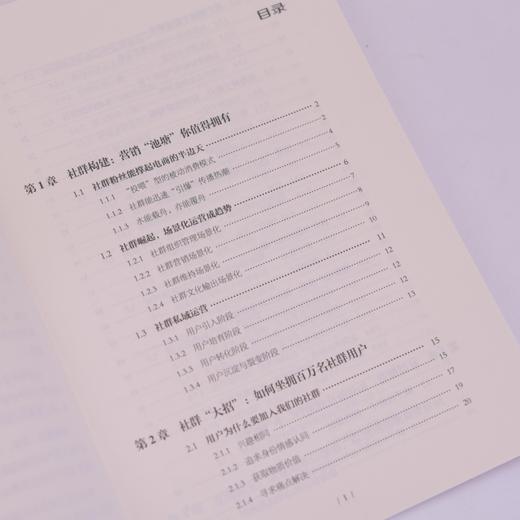社群营销与私域运营实战：电商引流+用户运营+内容打造+品牌构建 吴智银著市场营销变现引流书籍 商品图3