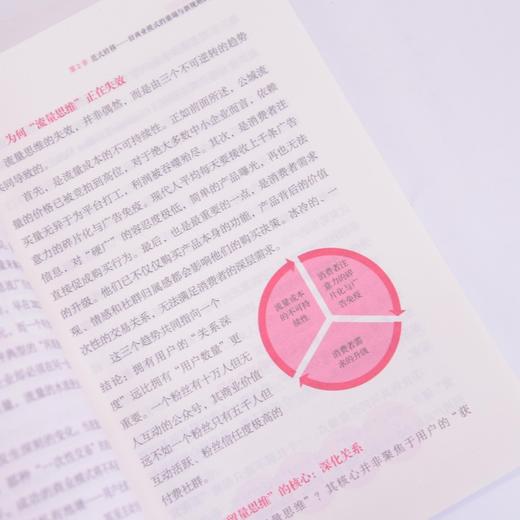 AI时代创富法则：普通人如何实现财富自由 宋红云著趋势解读赛道拆解人工智能 商品图3