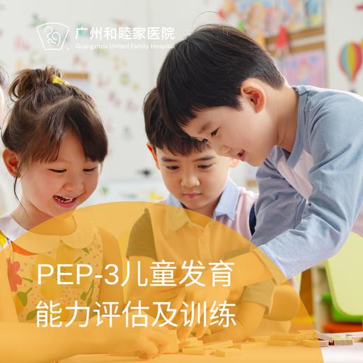 PEP-3儿童发育能力评估及训练套餐_精神心理科 商品图0