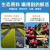 谦益山楂元气饮300g 温和解腻开胃 唤醒味蕾  聚会、休闲 下午茶优选（冷藏口感更佳 ） 商品缩略图2