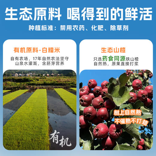 谦益山楂元气饮300g 温和解腻开胃 唤醒味蕾  聚会、休闲 下午茶优选（冷藏口感更佳 ） 商品图2