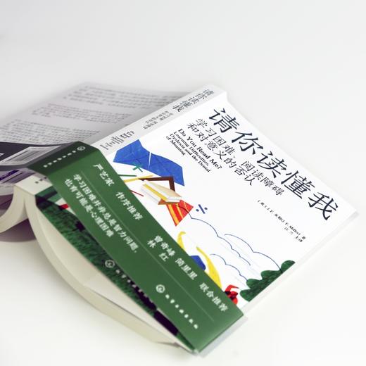 请你读懂我——学习困难、阅读障碍和对意义的否认 商品图3