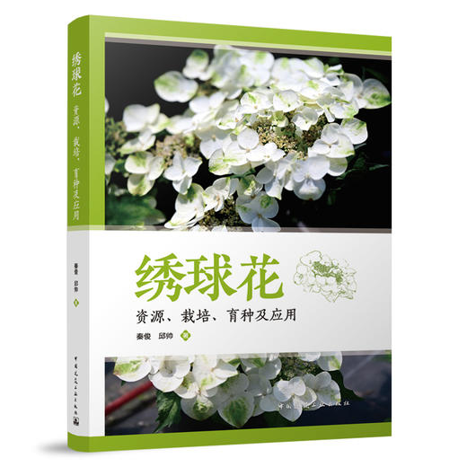 绣球花    资源、栽培、育种及应用 商品图0