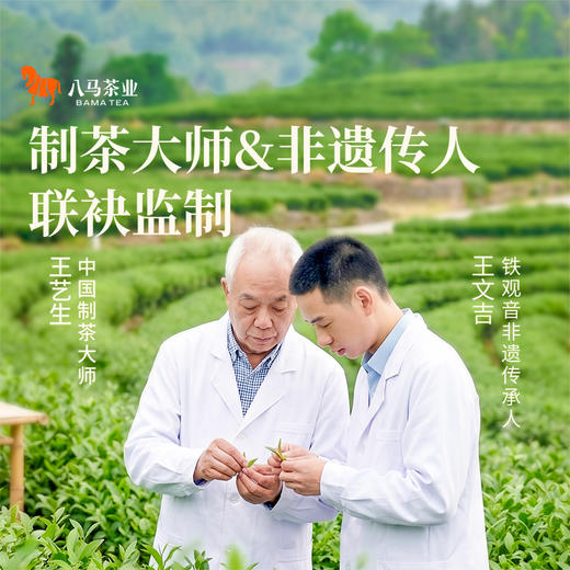 八马茶业 | 知音系列福建安溪特级乌龙茶清香/浓香铁观音大罐装504g 商品图11