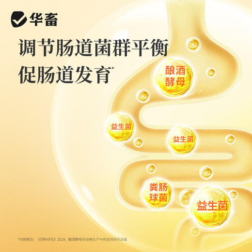 华畜健胃肽兽用牛羊真活菌增强瘤胃发酵提高采食量促生长补营养 商品图3