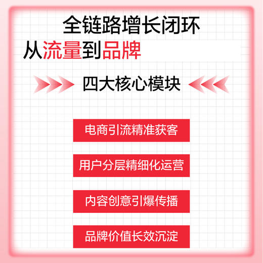 社群营销与私域运营实战：电商引流+用户运营+内容打造+品牌构建 吴智银著市场营销变现引流书籍 商品图1