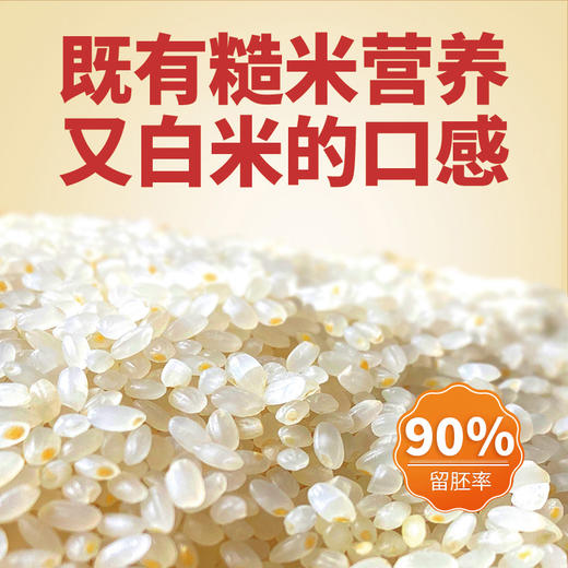 黑龙江五常地大粮心大米胚芽米， 2.5kg/袋（5斤装），米饭口感软糯香滑，易于消化，全家人都吃 商品图9