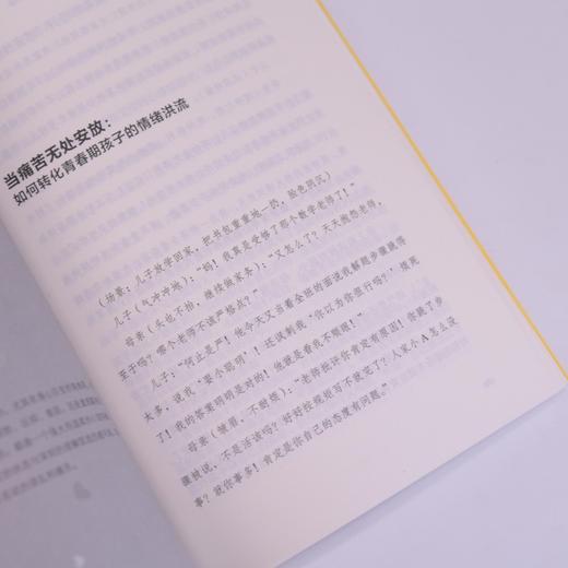 青春期父母心理学手册：五步成为心理容器，接住孩子的情绪风暴 商品图3