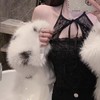 【纯欲风❗️蕾丝美背挂脖】挂脖系带设计修饰肩颈线条，蕾丝拼接增添柔美感，肌理面料自带质感，短款版型适配高腰下装，吊带背心可外穿带胸垫打底内衣裹胸上衣女QQ 商品缩略图0