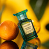 汤姆·福特 绝漾炽橙 Tom Ford Taormina Orange 分装 商品缩略图1