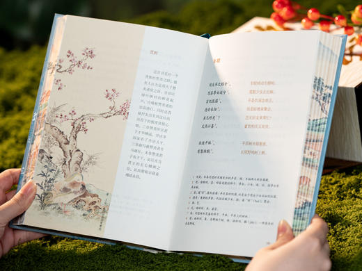 《诗经》3册典藏版|全本全注全译全彩全赏析，权威版本、400+珍贵插图、丰富赠礼，一眼阅尽3000年文学源头，陶冶情操，净化心灵 商品图4