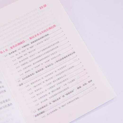 AI时代创富法则：普通人如何实现财富自由 宋红云著趋势解读赛道拆解人工智能 商品图2