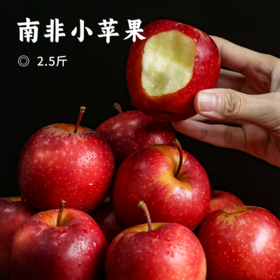 南非小苹果 | 进口牛顿小苹果 宝藏小众水果！果型饱满 果肉诱人汁水适中 果肉更细腻 果香浓郁 咬下 “嘎嘣脆”