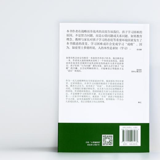 请你读懂我——学习困难、阅读障碍和对意义的否认 商品图6