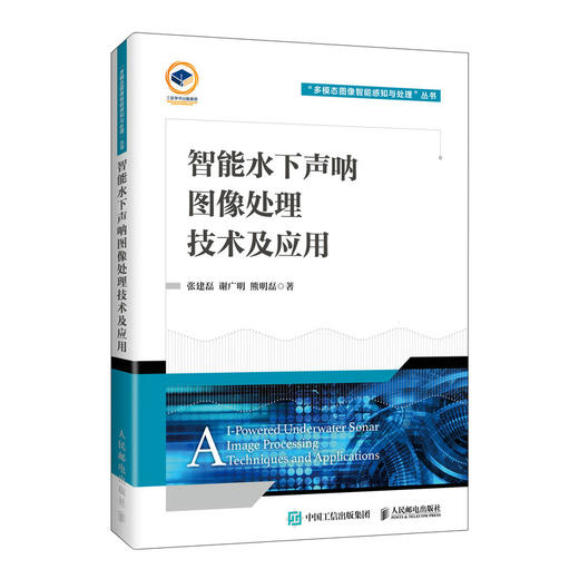 智能水下声呐图像处理技术及应用 人工智能AI算法大模型声呐图像海洋技术 商品图0