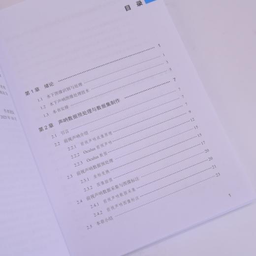 智能水下声呐图像处理技术及应用 人工智能AI算法大模型声呐图像海洋技术 商品图3