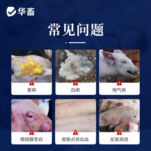 华畜兽用 20%盐酸土霉素可溶性粉 采用脱色结晶工艺 药效释放更彻底 商品图1
