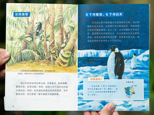 《超酷大脑》礼盒装（全50册）| 3-12岁儿童科普“性价比之wang”，60年老字号科普品牌，畅销980万册，专家学者盖章Ren zheng，da师级的科普通识课堂 商品图4