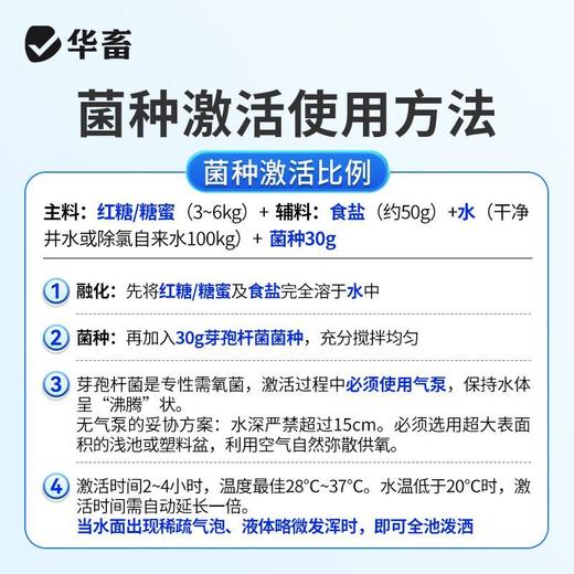 华畜水产养殖鱼虾芽孢杆菌原种调水净水增氧稳水平衡降解亚硝酸盐 商品图5