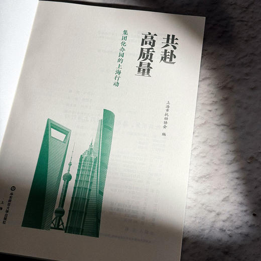 共赴高质量 集团化办园的上海行动 上海市托幼协会 商品图5