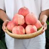 【一口爆汁 现摘现发 个头饱满】龙泉驿水蜜桃5斤装（顺丰陆运） 商品缩略图0