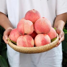 【一口爆汁 现摘现发 个头饱满】龙泉驿水蜜桃5斤装（顺丰陆运）