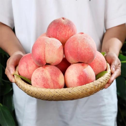 【一口爆汁 现摘现发 个头饱满】龙泉驿水蜜桃5斤装（顺丰陆运） 商品图0